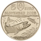 articolo